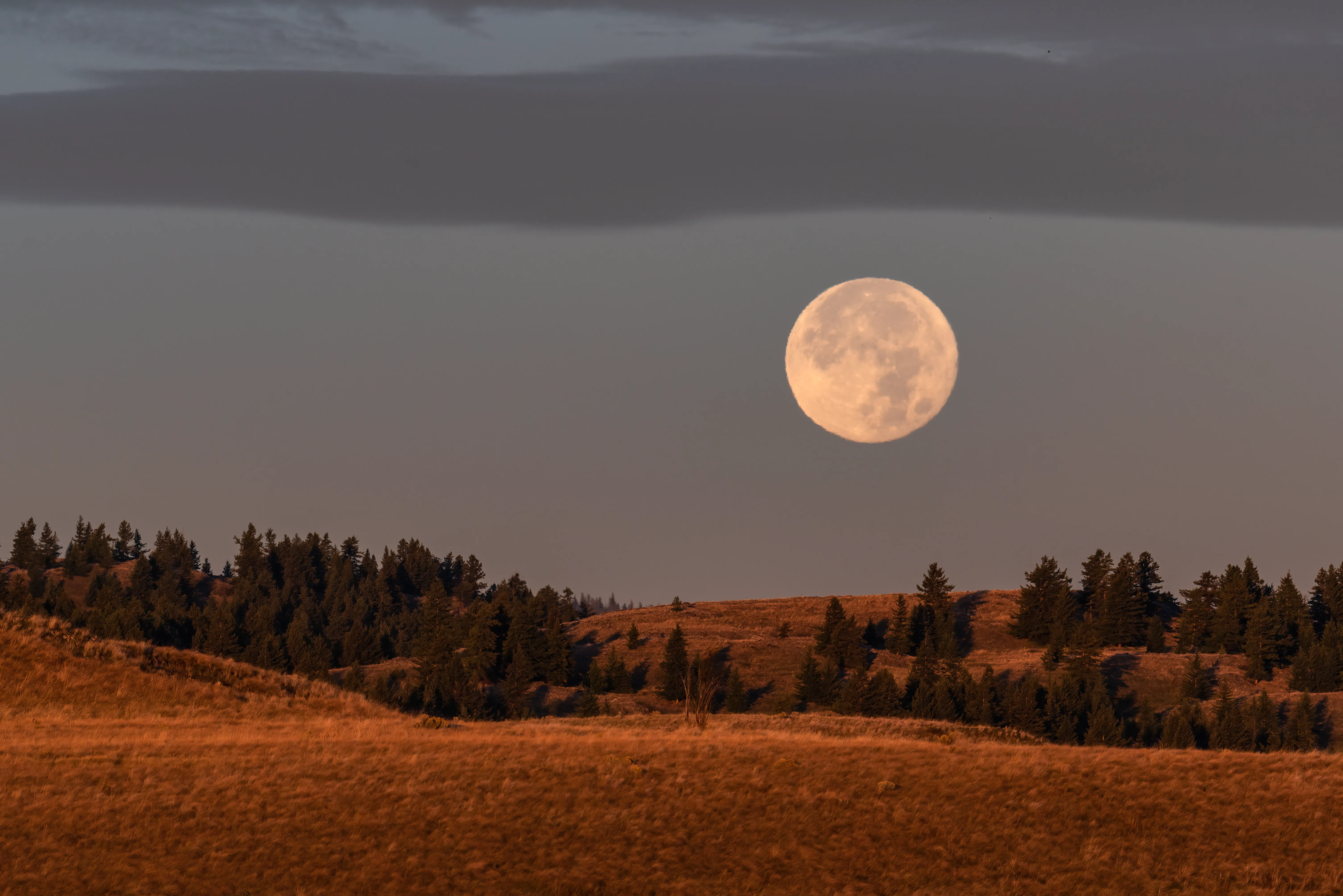 The 2026 Harvest Moon in Aries Is Coming—Here’s What It Means for Every Star Sign · 图 1