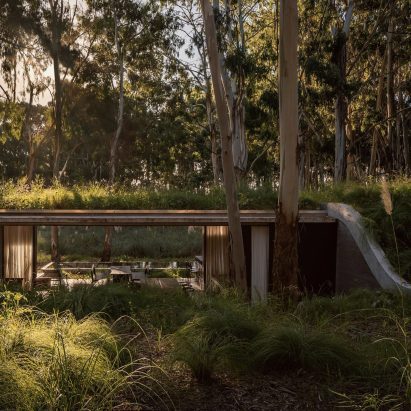 Eight green-roofed homes that sprout from their surroundings